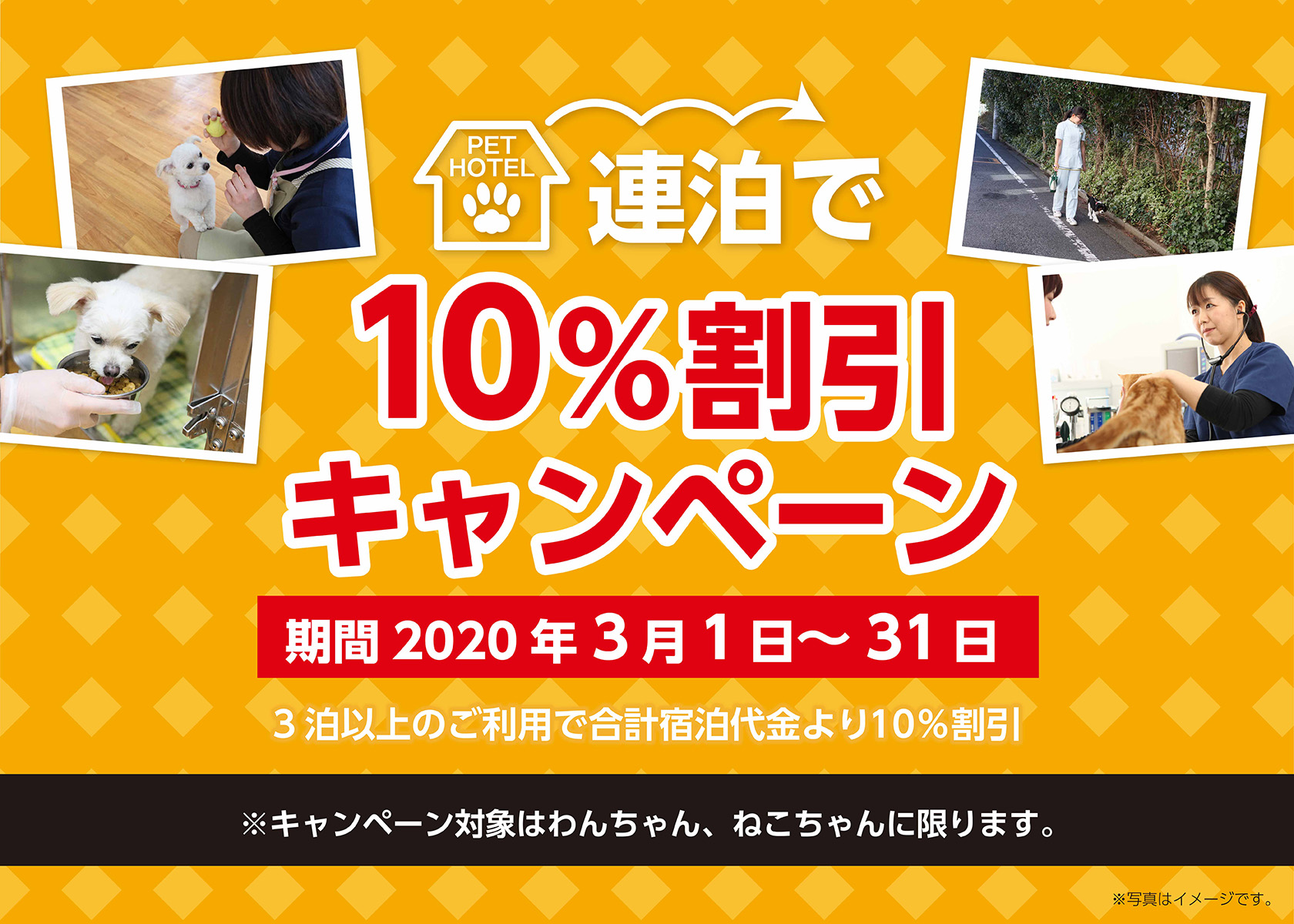 3月のペットホテルキャンペーンのご案内