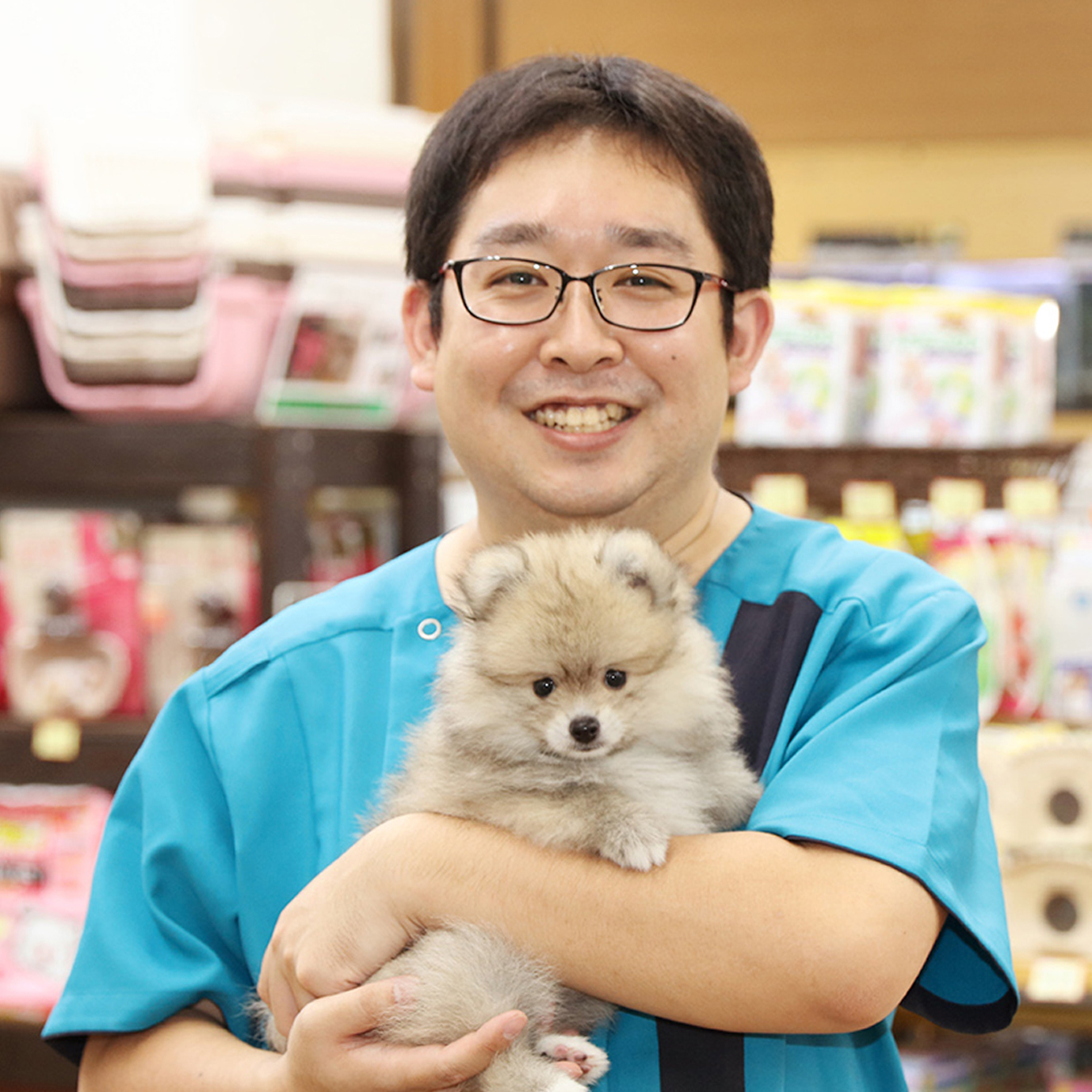 ペット家族 成城店 ショップ ペット家族 公式サイト ペット家族 成城店 ショップ ペット家族 公式サイト