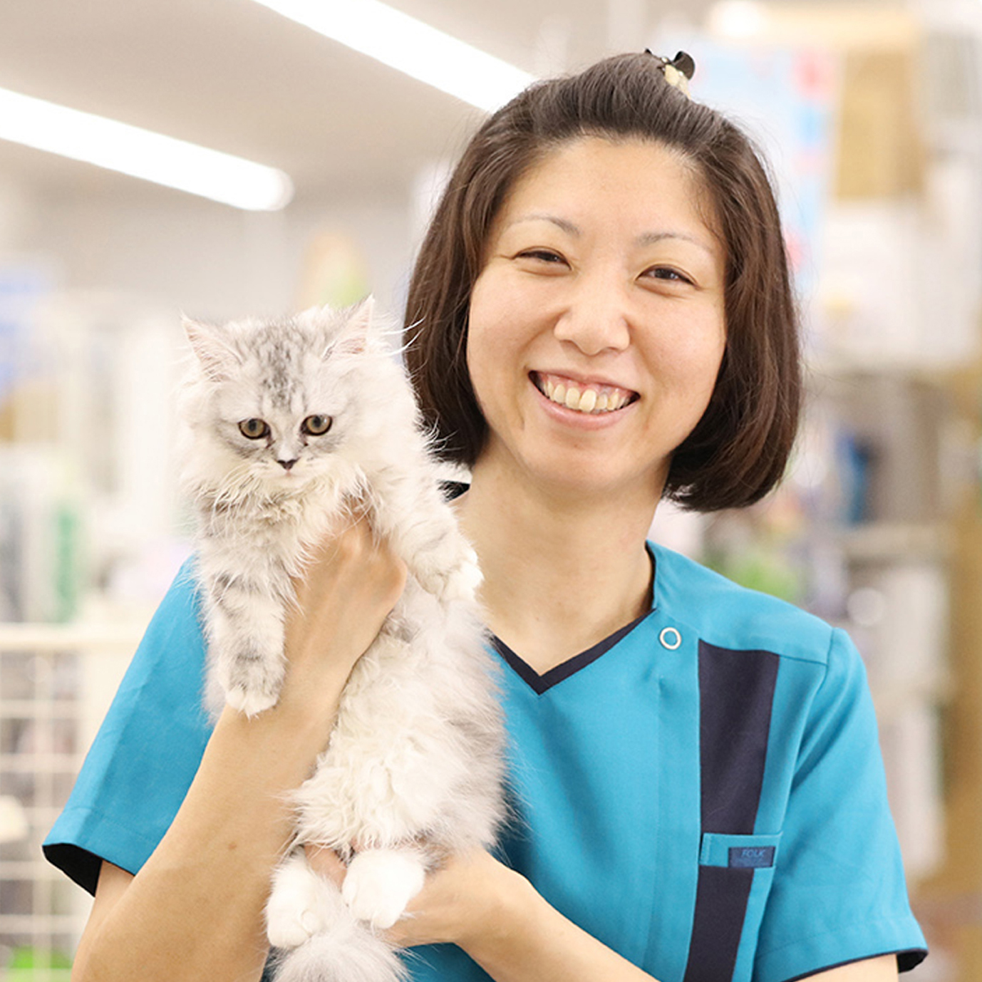 ペット家族 成城店 ショップ ペット家族 公式サイト ペット家族 成城店 ショップ ペット家族 公式サイト