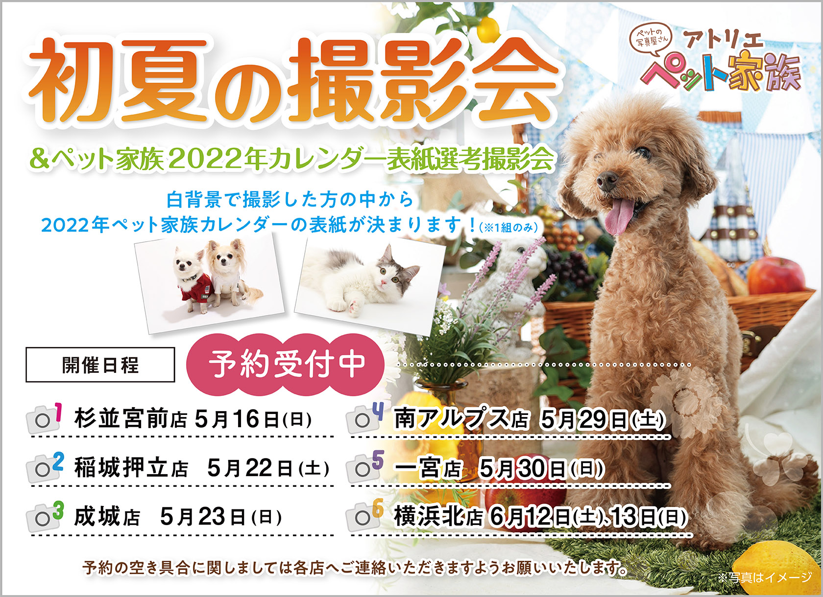 初夏の撮影会 開催!