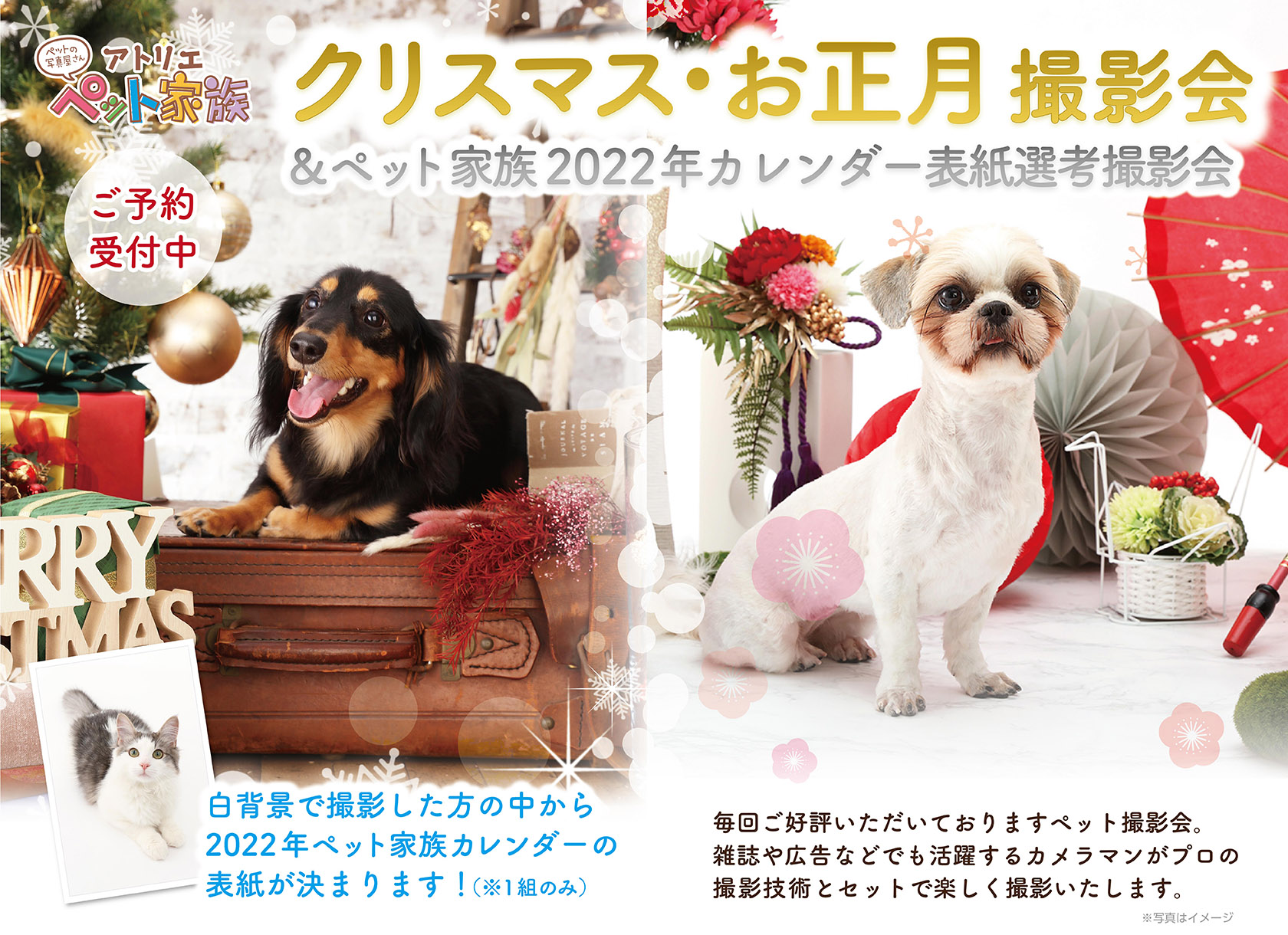クリスマス・お正月撮影会 開催!