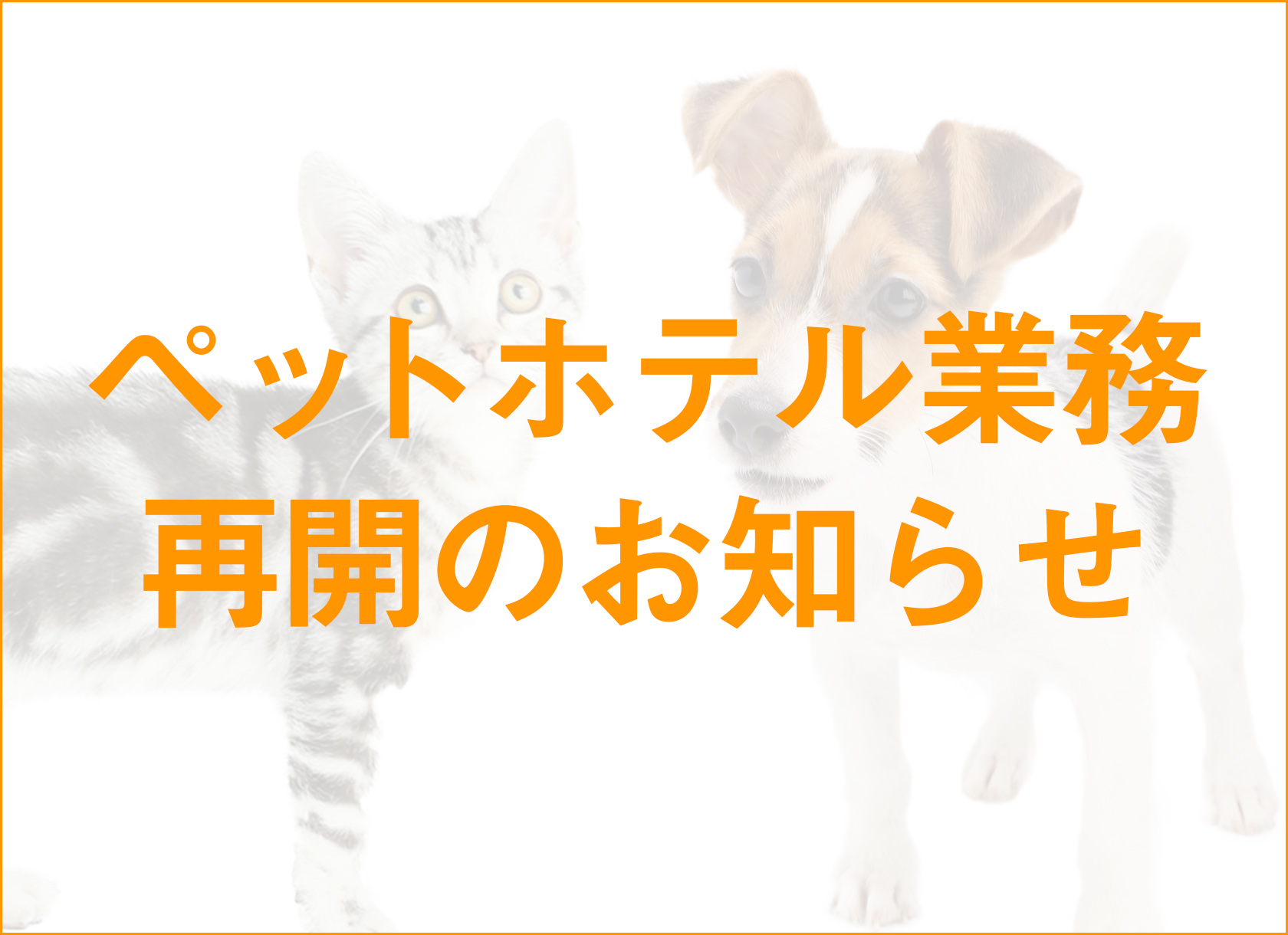 ペットホテル業務　再開のお知らせ