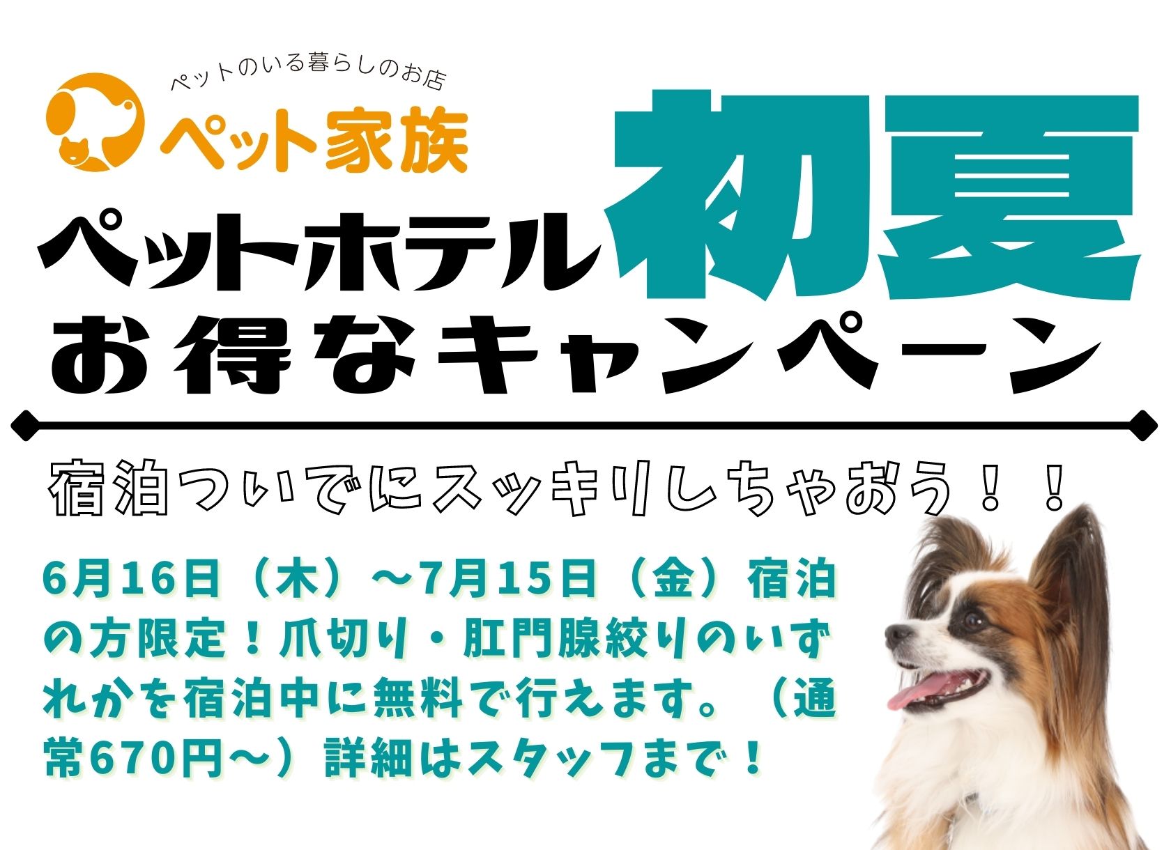 泊まって嬉しい！ぺットホテル初夏のお得なキャンペーン！