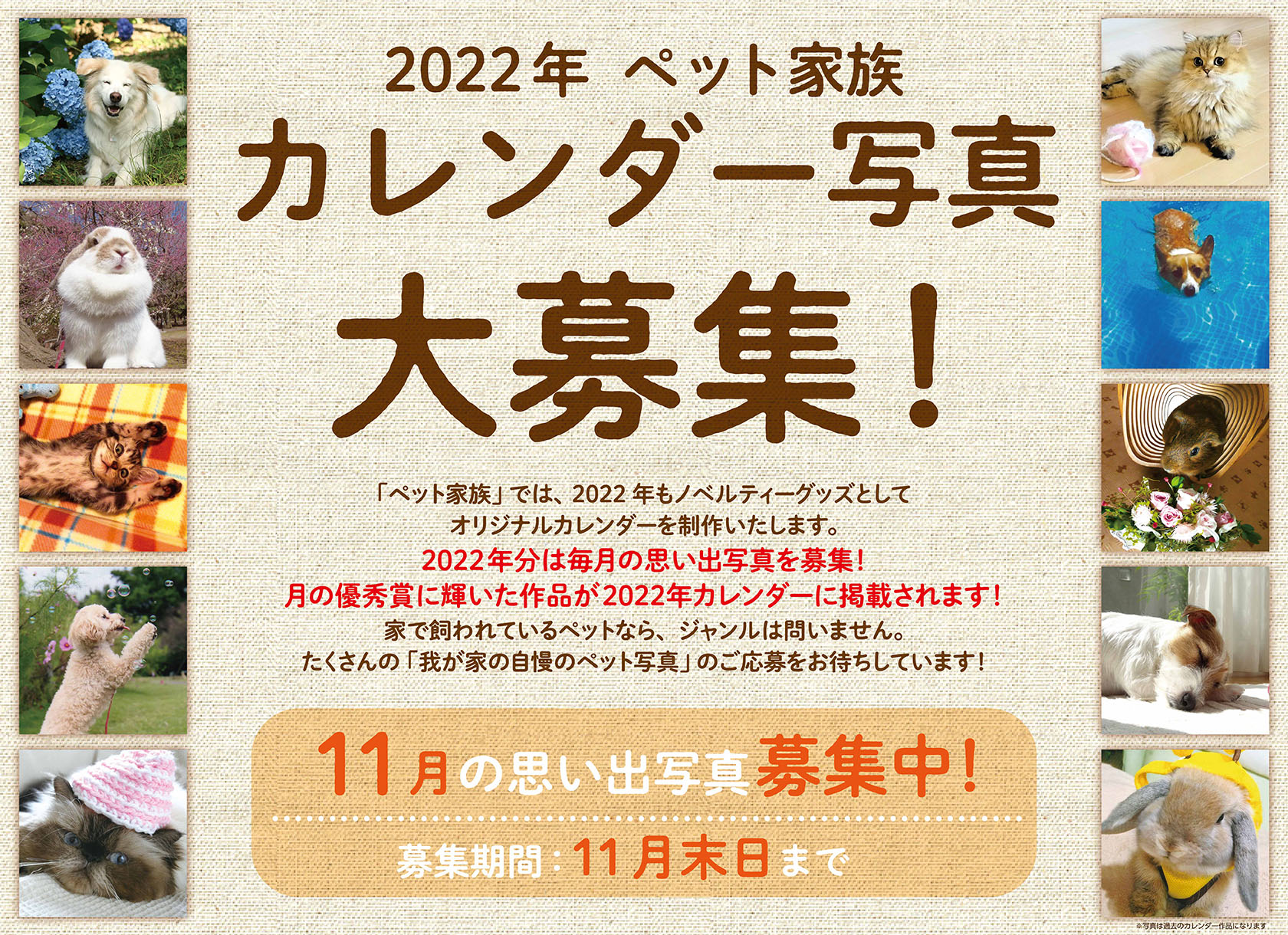 22年 ペット家族 カレンダー写真大募集 お知らせ ペット家族 公式サイト