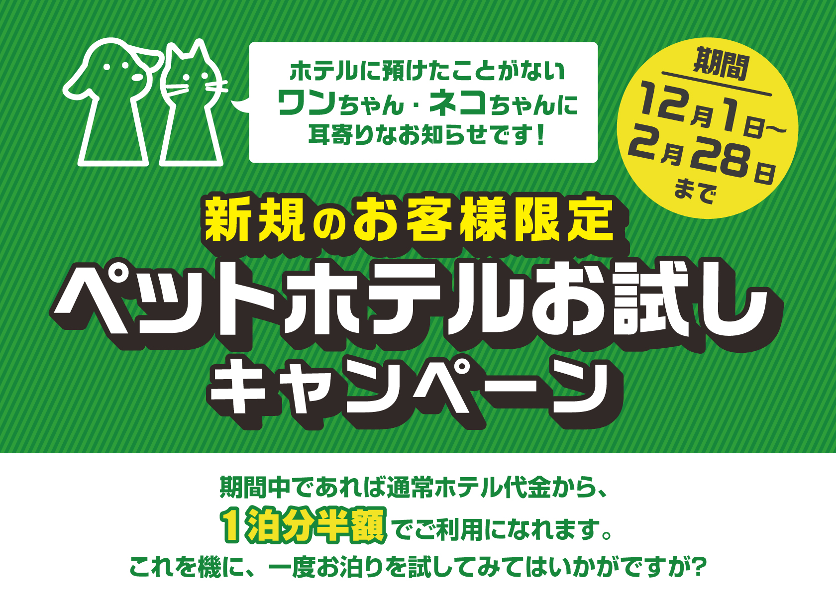 新規のお客様限定！ペットホテルお試しサービス