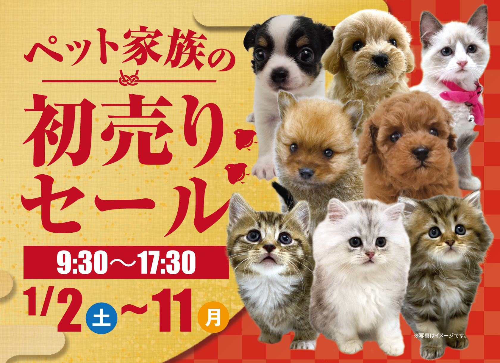2021年 初売りセールのお知らせ♪