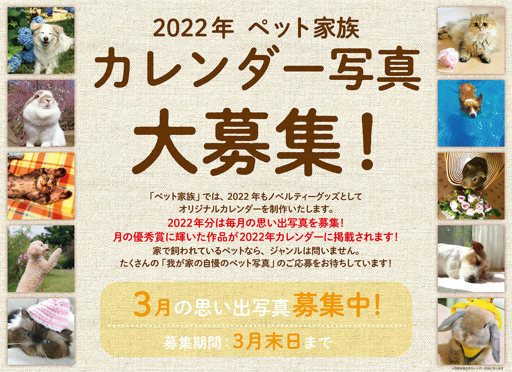 2022年 ペット家族 カレンダー写真大募集!