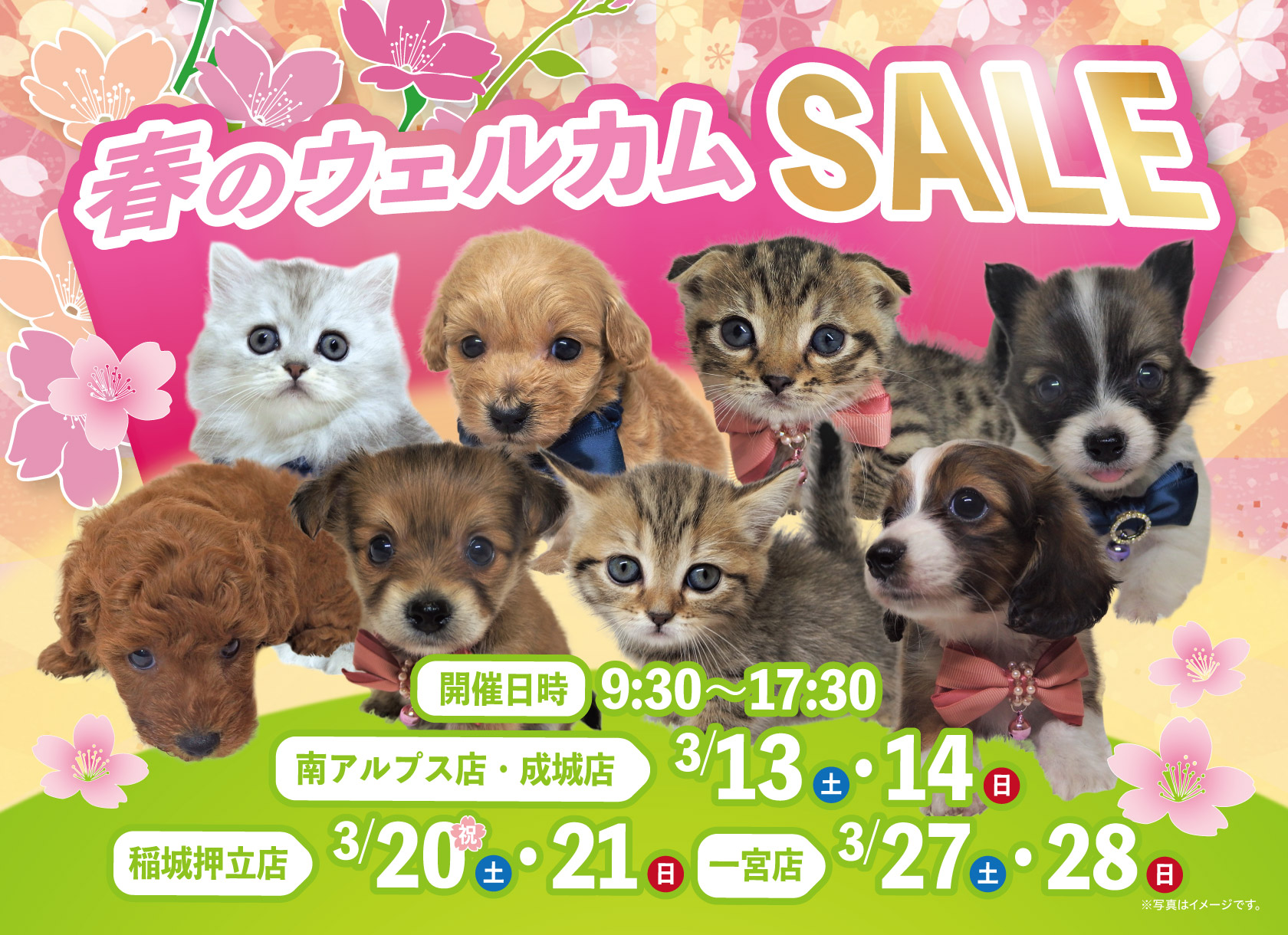 春のウェルカムSALE開催!