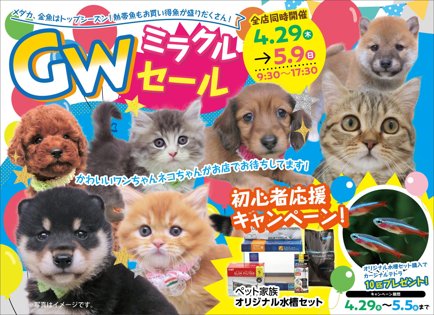 GWミラクルセール開催!