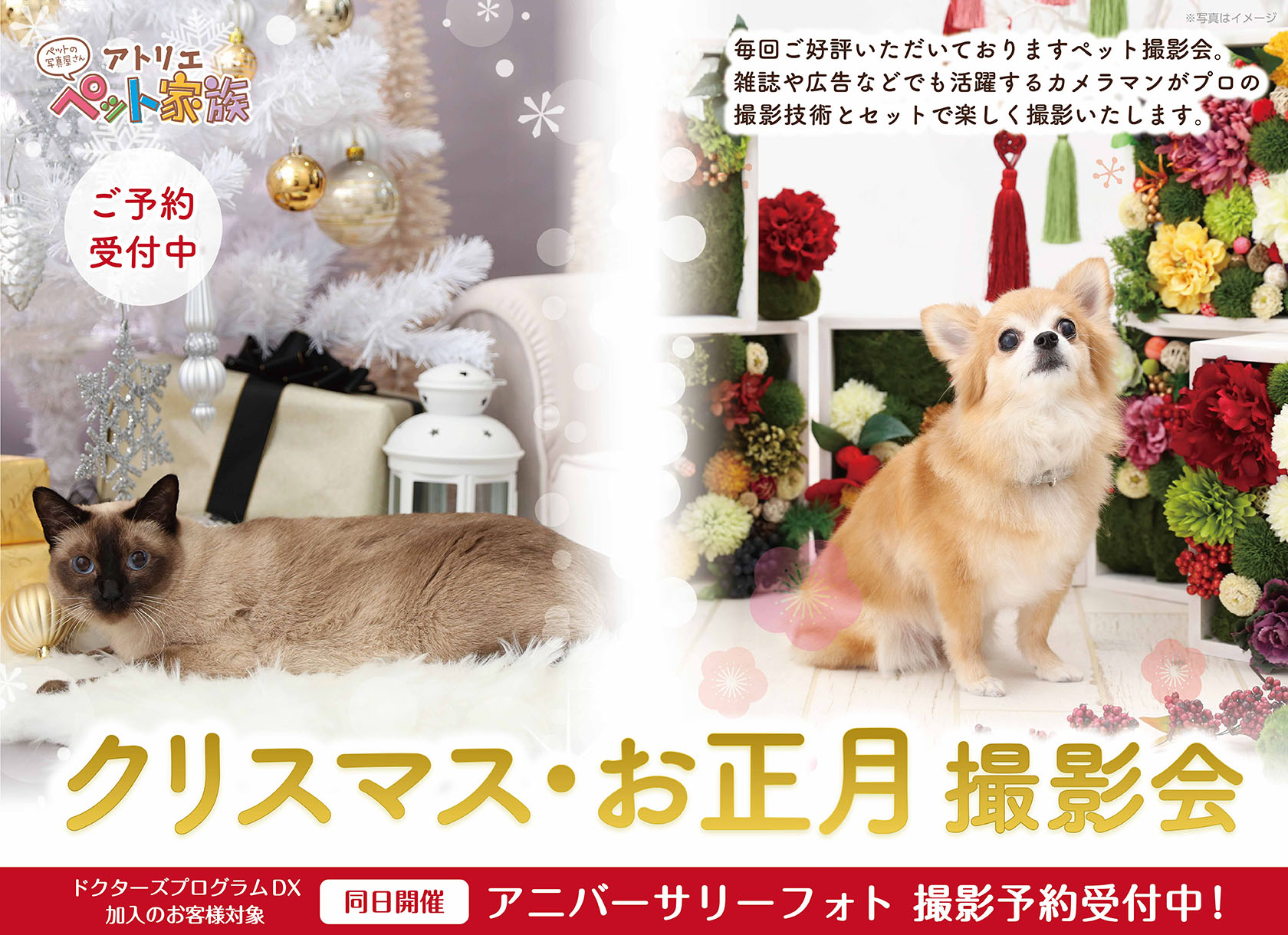 クリスマスお正月撮影会開催♪ ご予約受付中!