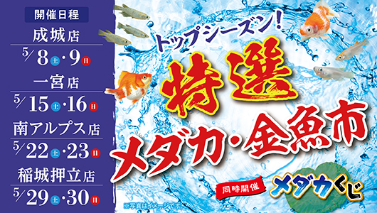 ペット家族 公式サイト ペットショップ 動物病院 ペットホテル ペット家族 公式サイト ペットショップ 動物病院 ペットホテル