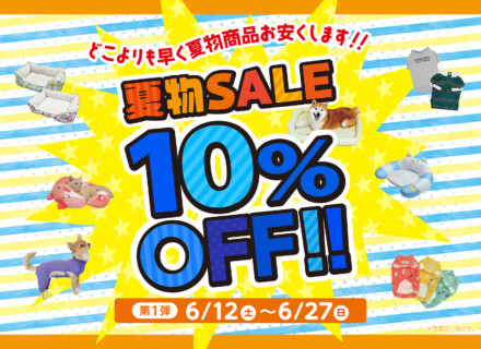 夏物SALE開催！