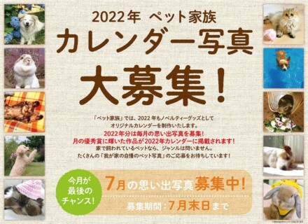 22年 ペット家族 カレンダー写真募集終了のお知らせ お知らせ ペット家族 公式サイト 22年 ペット家族 カレンダー写真募集終了のお知らせ お知らせ ペット家族 公式サイト