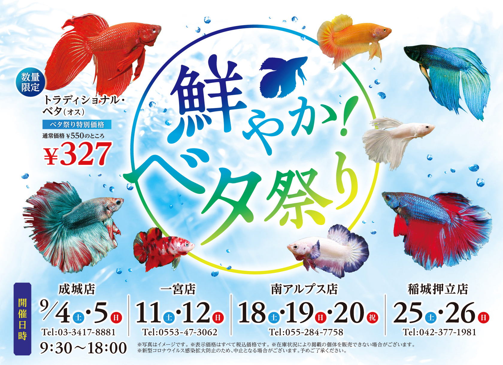 鮮やか!ベタ祭り!開催!