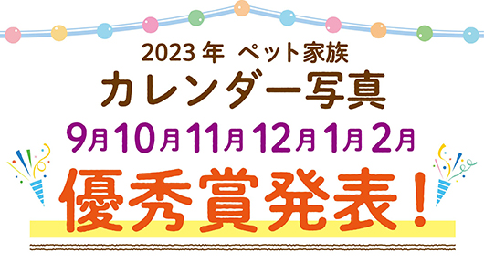 ペット家族 公式サイト ペットショップ 動物病院 ペットホテル