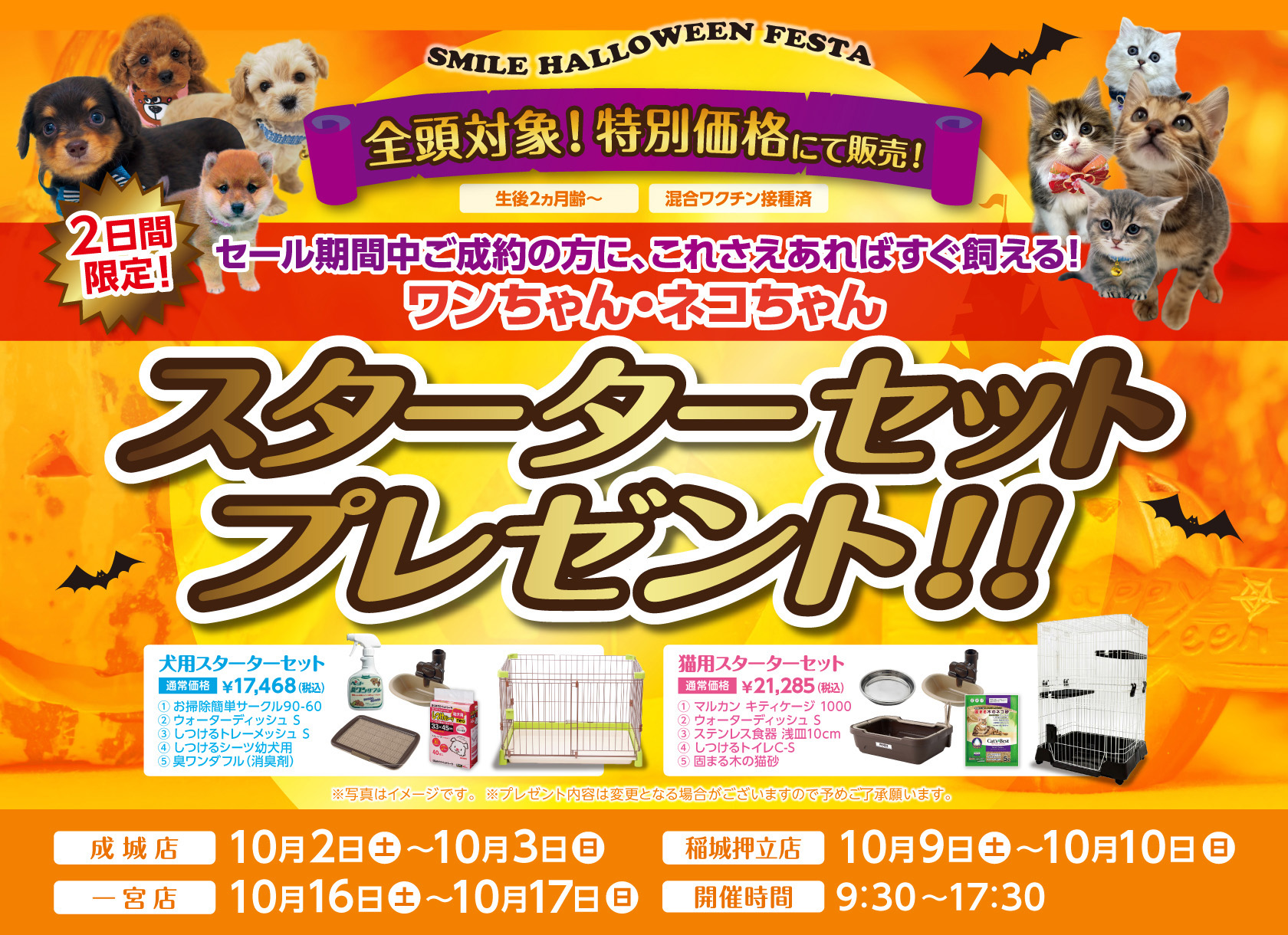 『SMILE HALLOWEEN FESTA』開催!!スターターセットプレゼント!