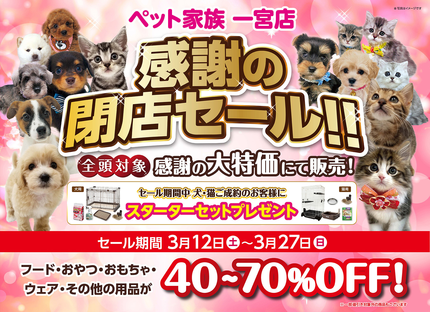 ペット家族一宮店 感謝の閉店セール!