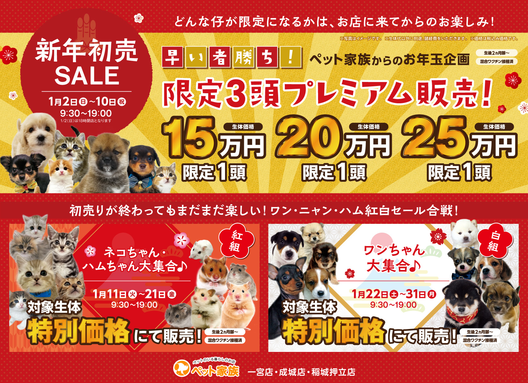 2022年新年初売りSALE開催!(1月2日より)