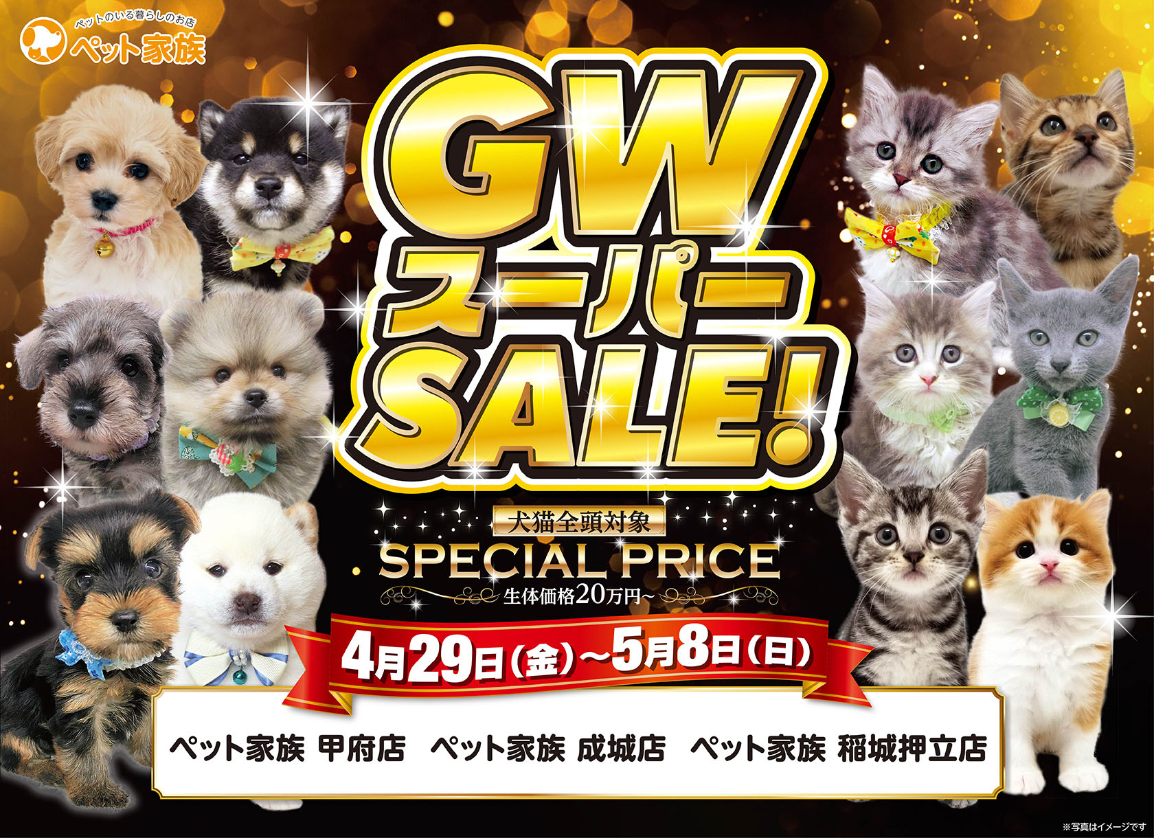ペット家族GWスーパーSALE開催!!