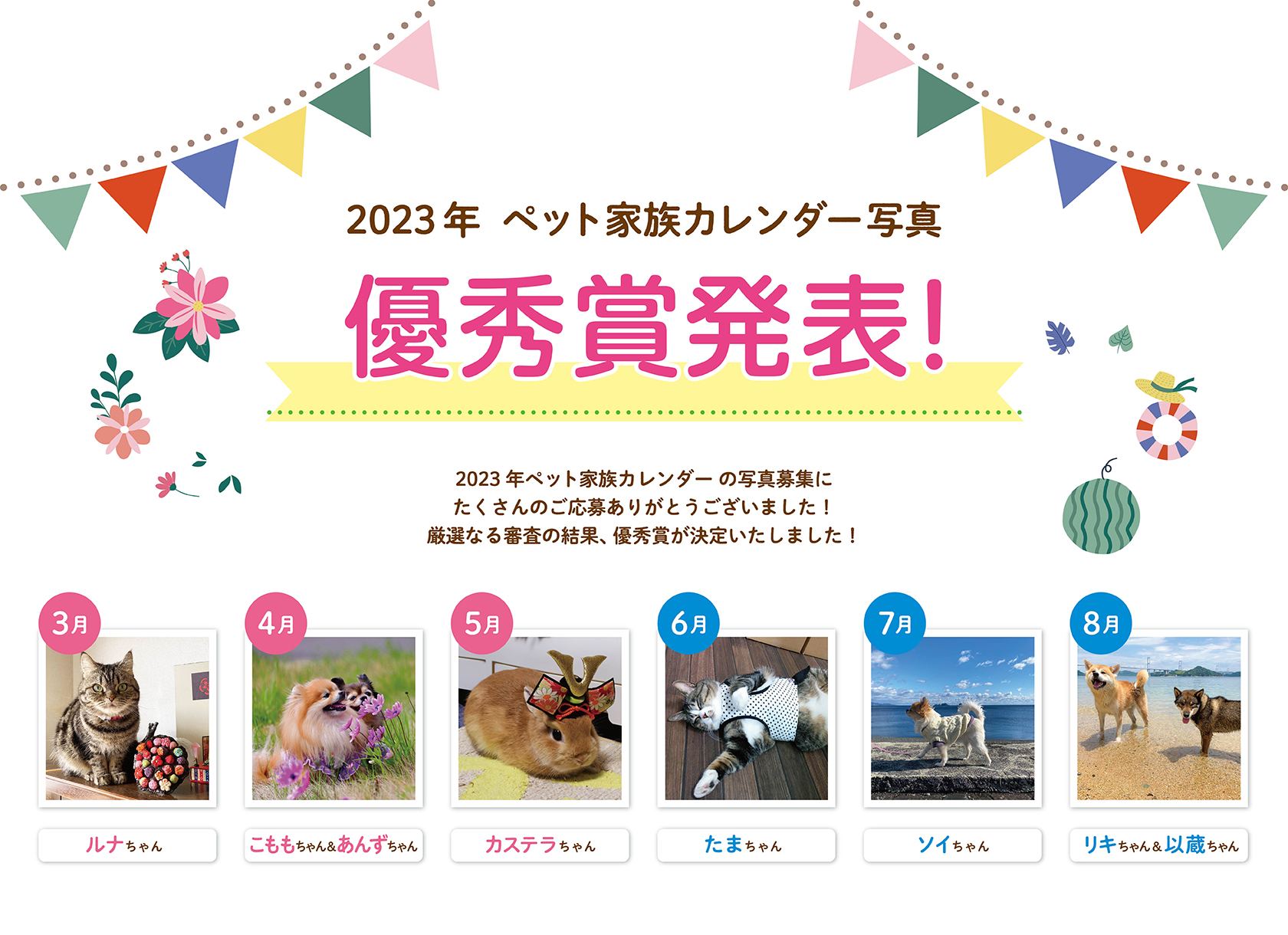 23年ペット家族カレンダー写真優秀賞発表 3月 8月 お知らせ ペット家族 公式サイト