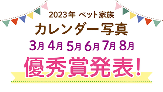 2023年ペット家族カレンダー写真優秀賞発表（3月～8月）！
