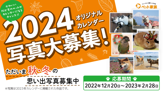 ペット家族 公式サイト ペットショップ 動物病院 ペットホテル
