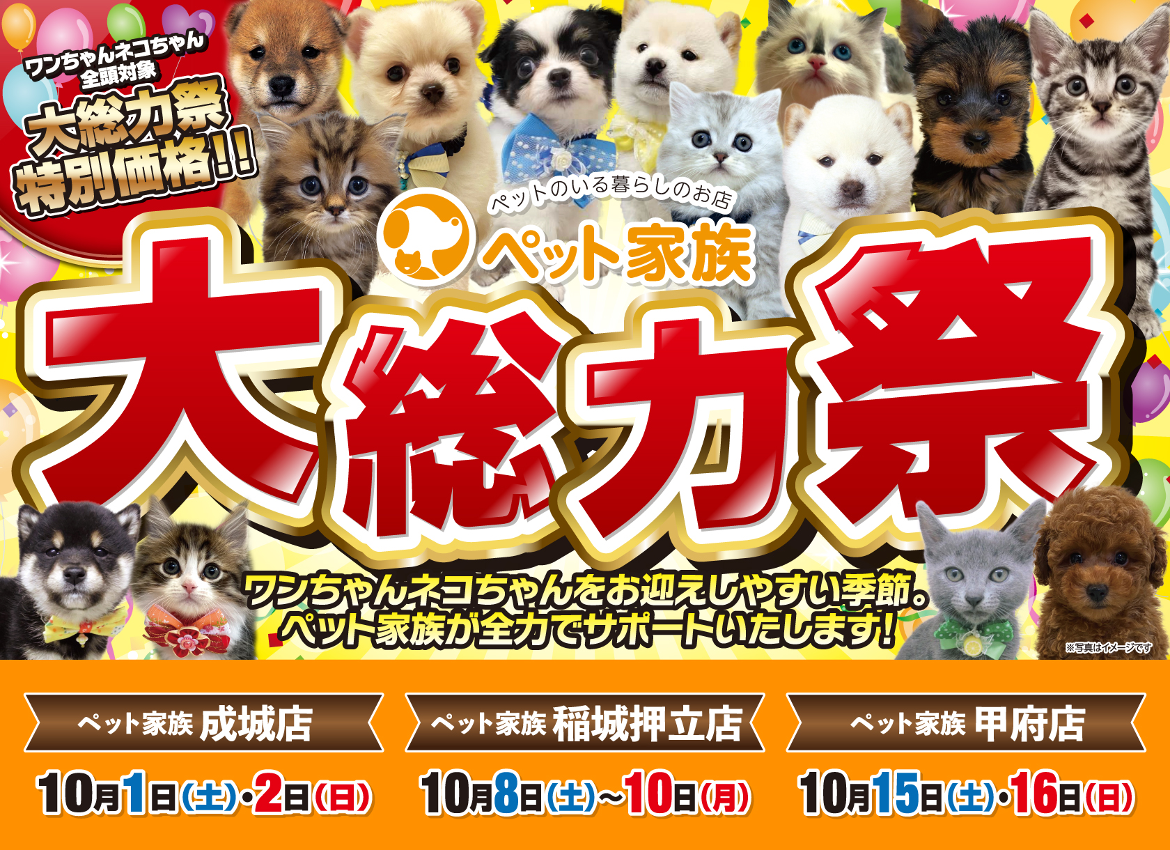 ペット家族“大総力祭” 開催!
