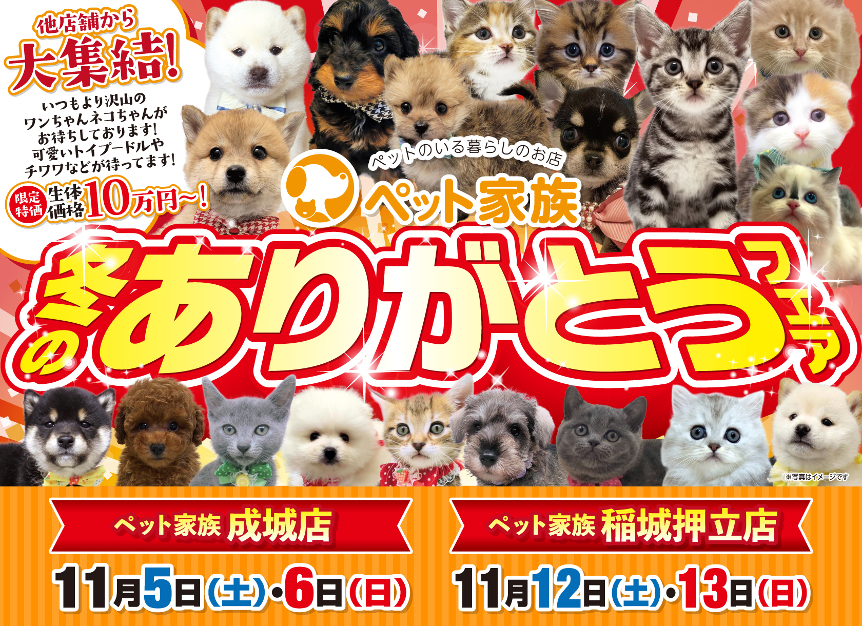 ペット家族“冬のありがとうフェア” 開催!成城店&稲城押立店
