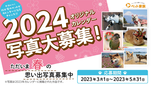 2024年  ペット家族　オリジナルカレンダー写真大募集！