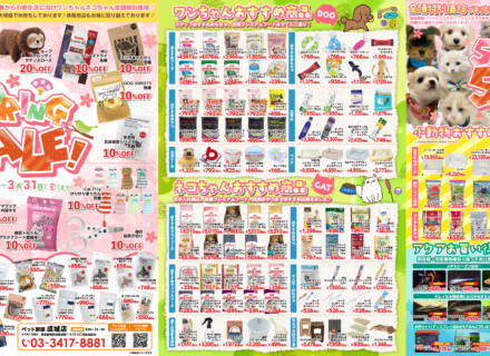 ペット家族成城店“SPRING SALE”　開催！