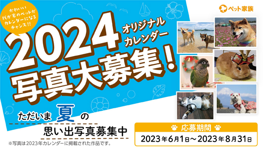 2024年  ペット家族　オリジナルカレンダー写真大募集！
