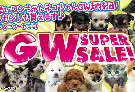 ペット家族”GW　SUPER　SALE”開催！