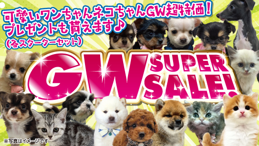 ペット家族”GW　SUPER　SALE”開催！