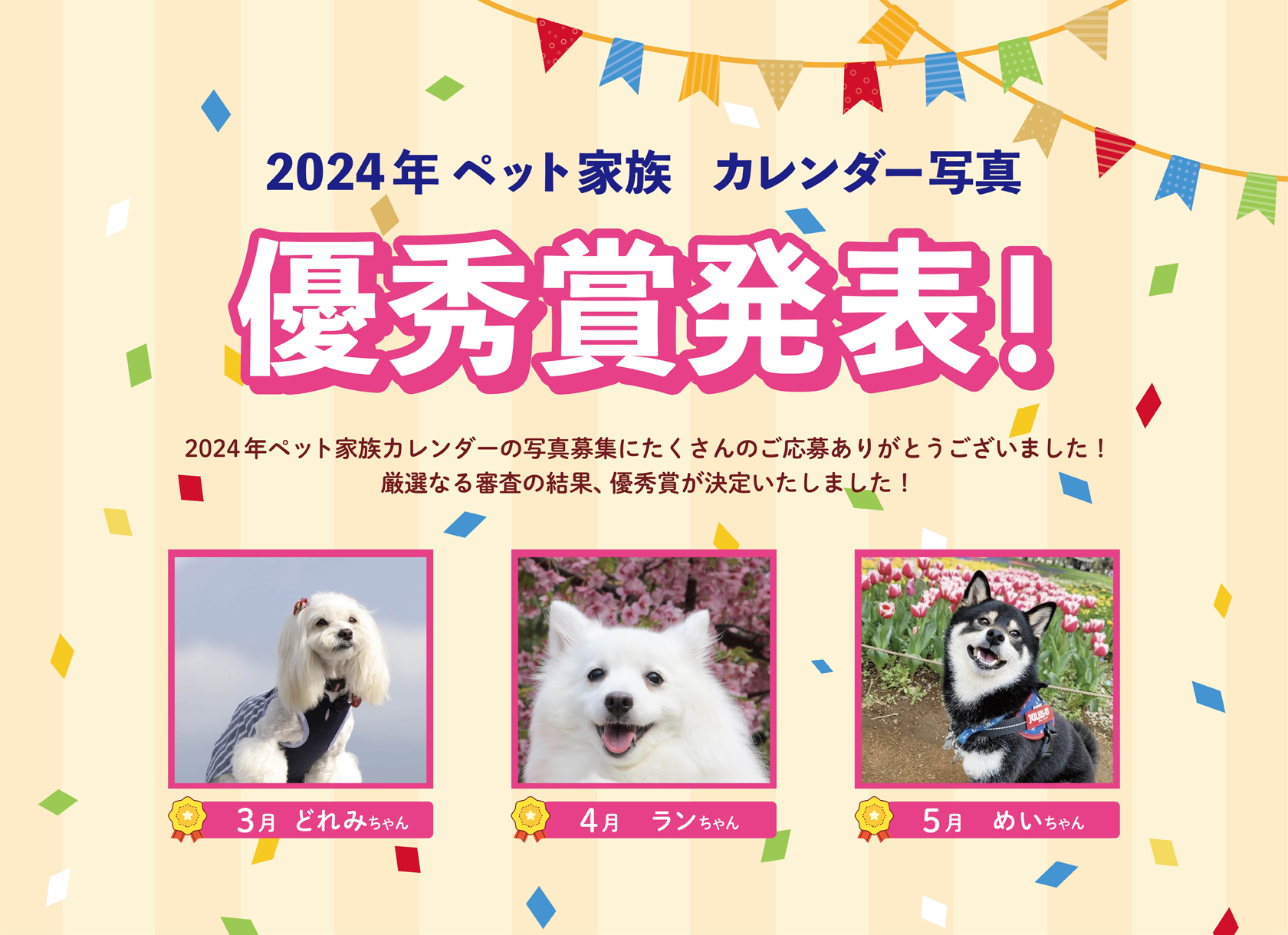 2024年ペット家族カレンダー写真優秀賞発表（3月～5月）！