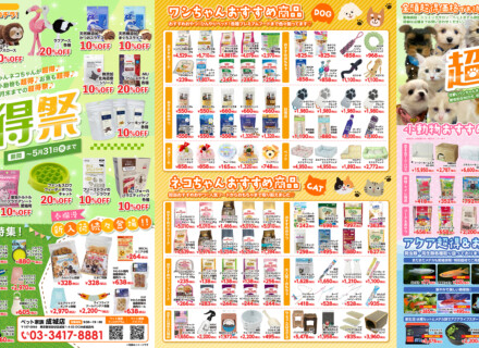 ペット家族成城店“超得祭”　開催！