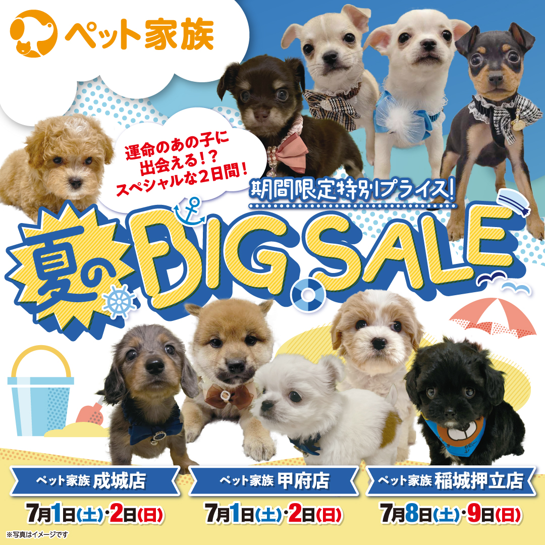 ペット家族”夏のBIG SALE”開催決定！