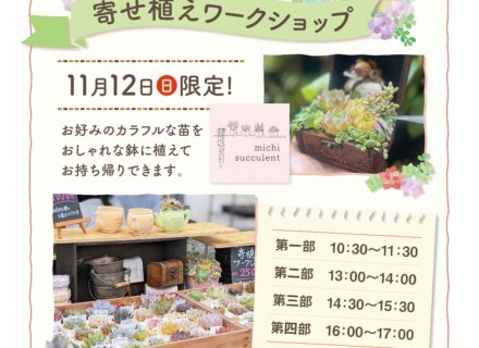 多肉植物寄せ植えワークショップのご案内