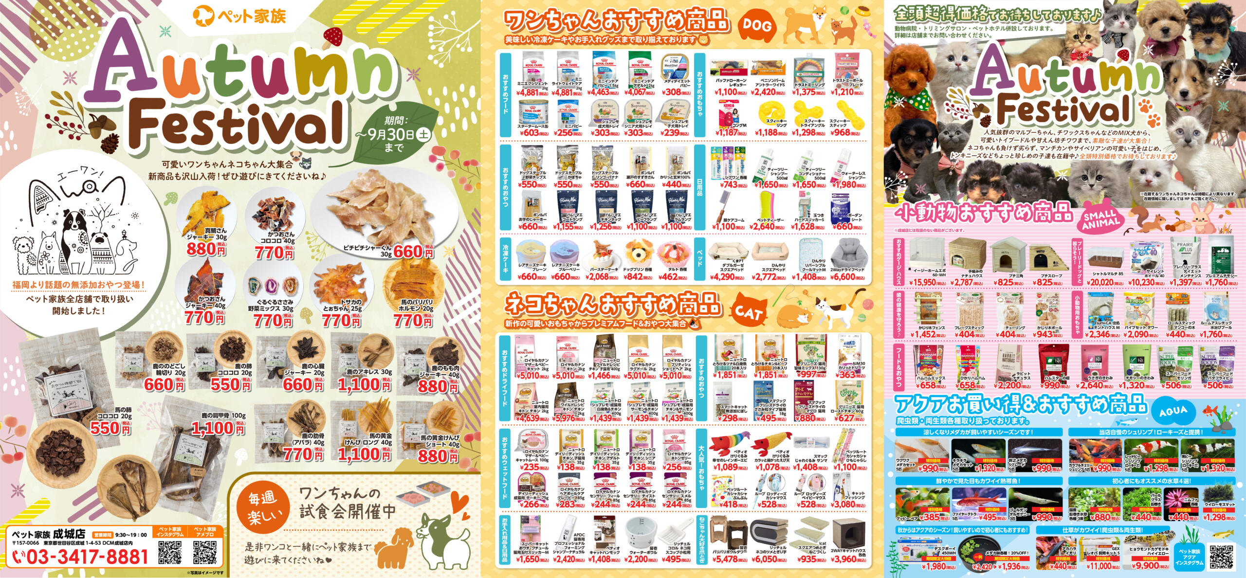 ペット家族成城店　Autumn Festival開催！　〜10月1日まで