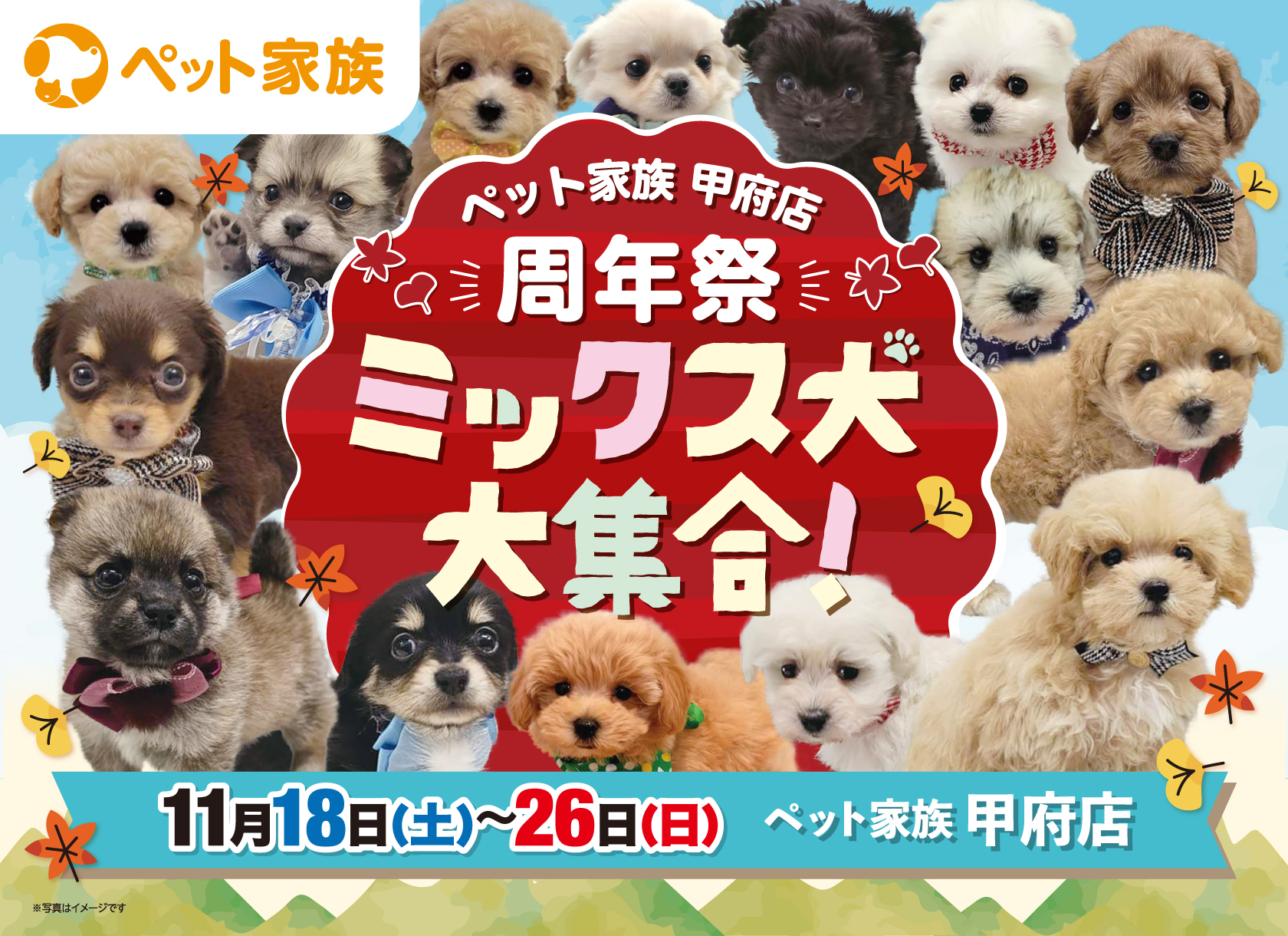 ペット家族甲府店周年祭のイベントのご案内