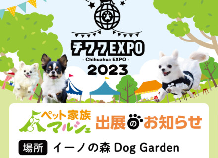 チワワEXPO2023