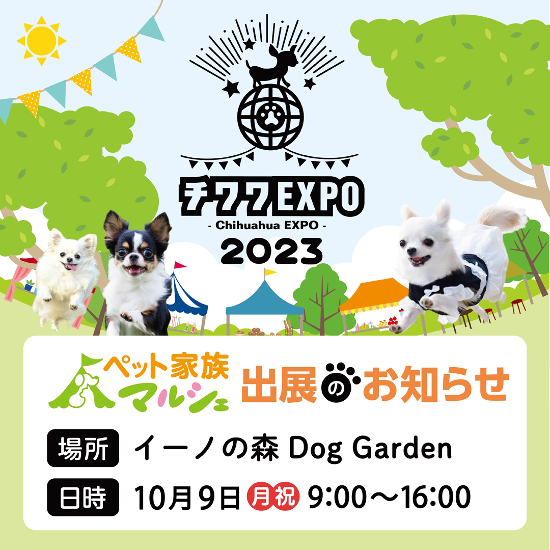 チワワEXPO2023