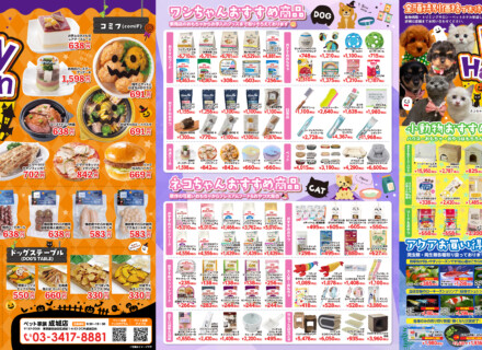 ペット家族成城店 Happy Halloween フェス開催！～10月31日まで