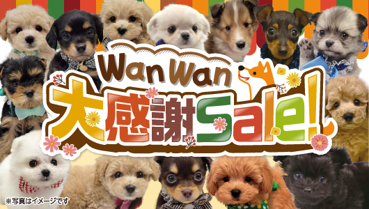 ペット家族''WanＷan大感謝セール''開催！