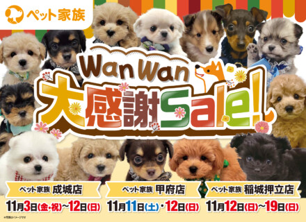 ペット家族”WanＷan大感謝セール”開催！