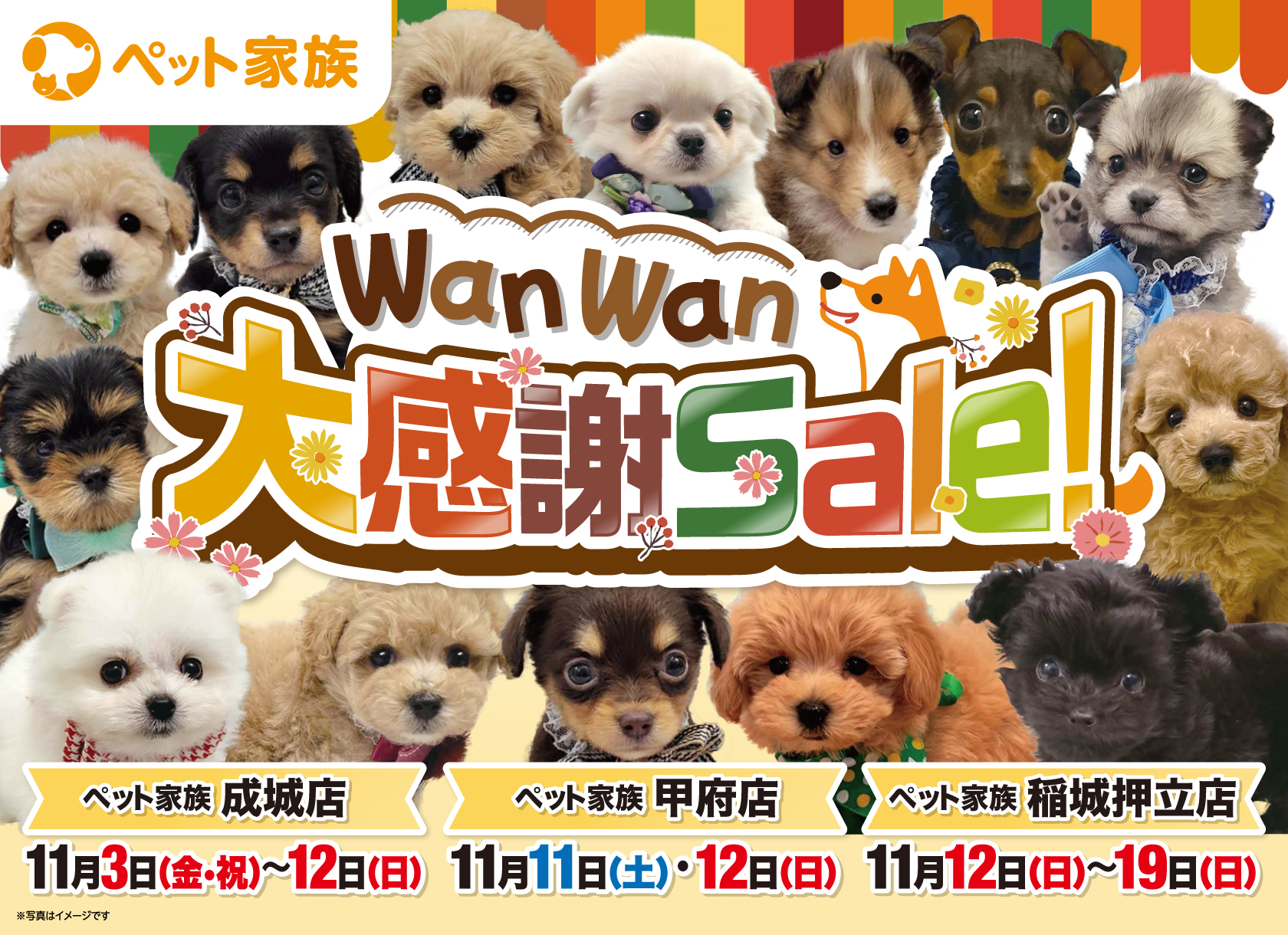 ペット家族”WanＷan大感謝セール”開催！