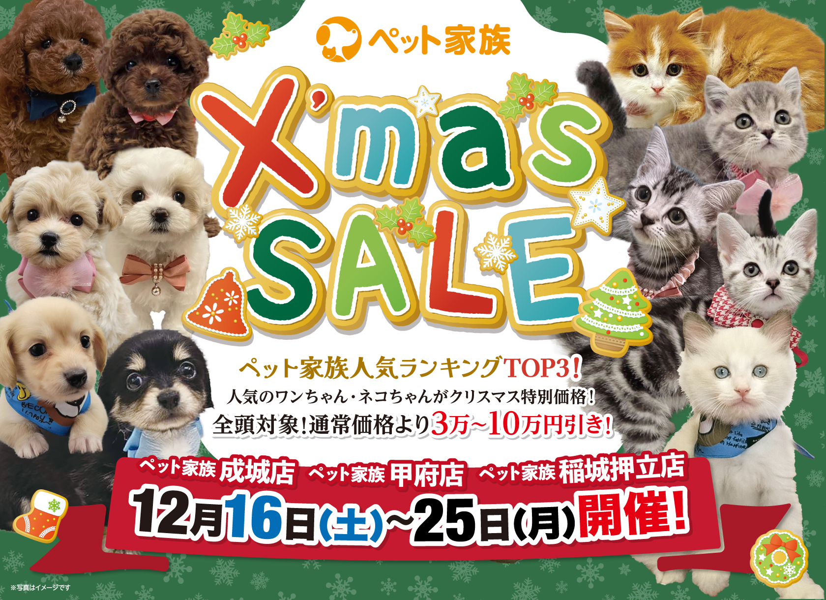 ペット家族XmasSALE開催決定！