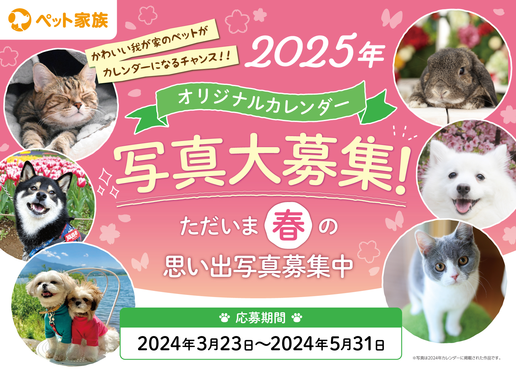 2025年  ペット家族　オリジナルカレンダー写真大募集！