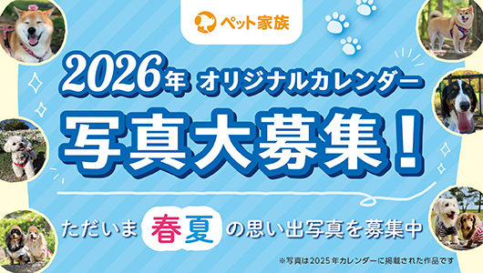 2026年ペット家族オリジナルカレンダー写真大募集！