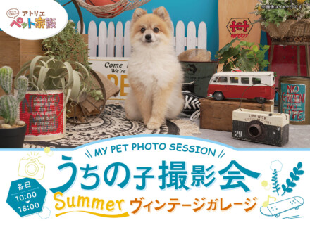 2025年うちの子撮影会「Summerヴィンテージガレージ」