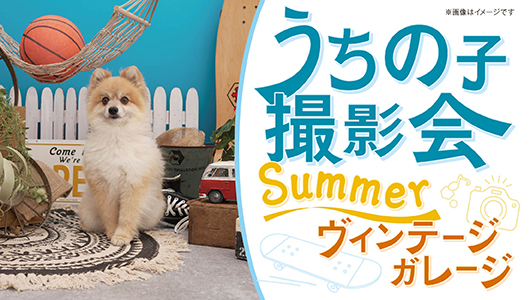 2025年うちの子撮影会「Summerヴィンテージガレージ」